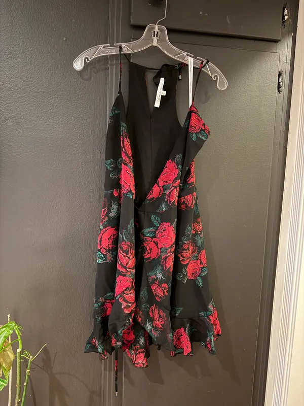 Lovers + Friends dress - Image 3