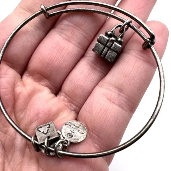 Alex and Ani Gift Present Silvertone Bangle Bracelet charm‎ - Image 3