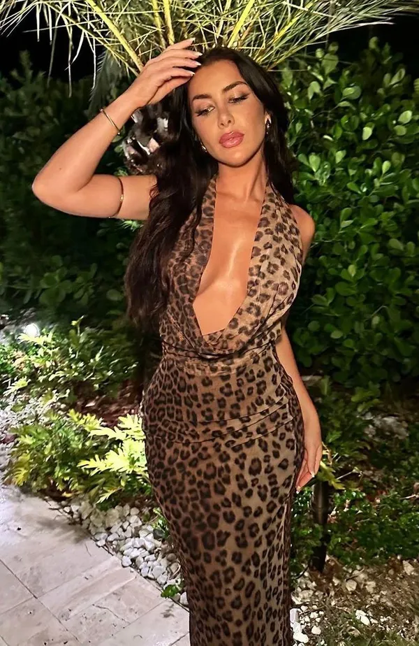 Zara Maxi plunge neck halter Dress Mesh Cheetah Animal print bodycon - Image 6