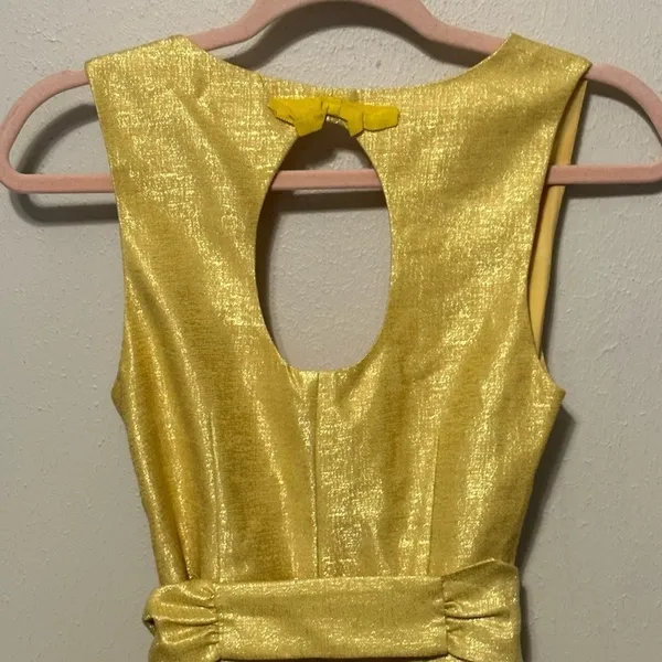 Anthropologie BHDLN There Is‎ Only You and Me Gold bridesmaids dress Size 0 - Image 6