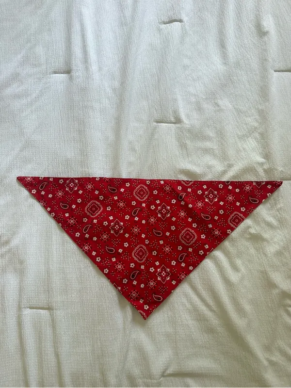 Reversible Bandana Triangle Scarf Accessories Tie Scarf Country Festival Western - Image 4