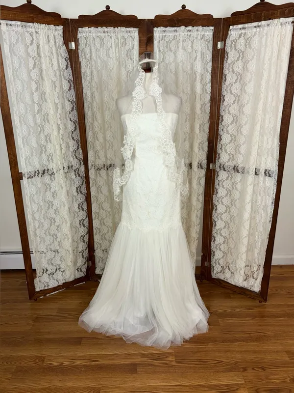 Gorgeous Galina Strapless Tulle Wedding Gown & Veil - Image 4