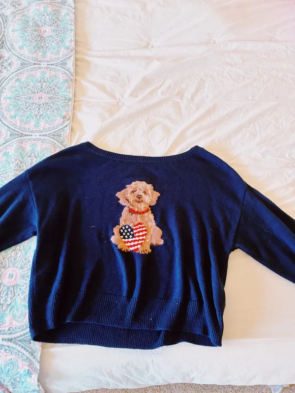 American Eagle Fourth of July Dog Sweater - Image 3