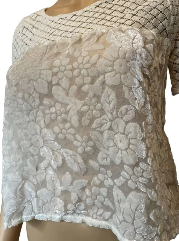 Abercrombie & Fitch Cream Boho Western Hippie Crochet Floral Velvet Crop Top - Image 2