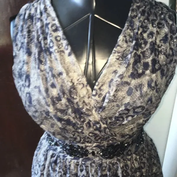 Reba blue cheetah v-neck beaded waist size 4 maxi dress - Image 2