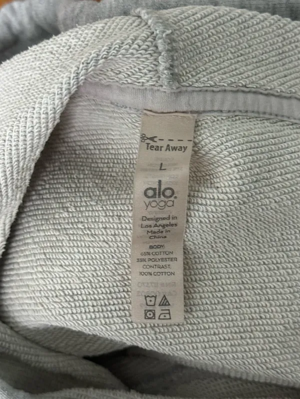 Alo Yoga Box Sweat Crop Hoodie in Gray - Image 5