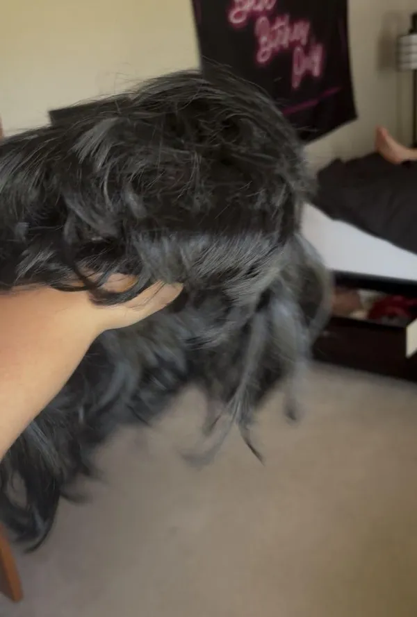 Short Black Wig Size undefined - Image 2