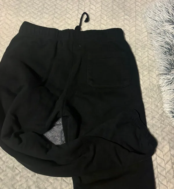 PacSun Land Rover Sweatpants - Image 3