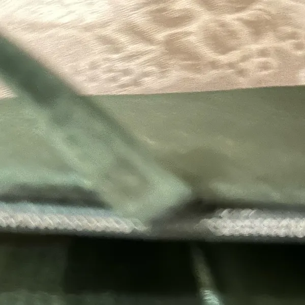 Savanna Green Sequin formal Clutch - Image 6