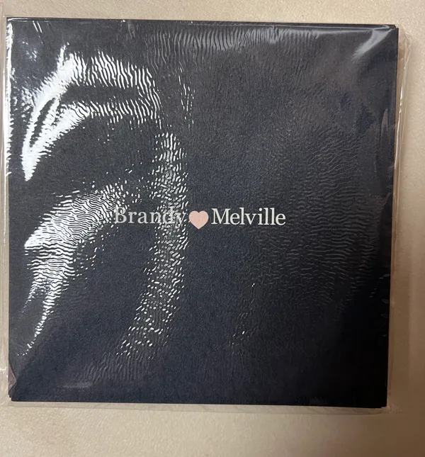 Brandy Melville Hoodie - Image 5