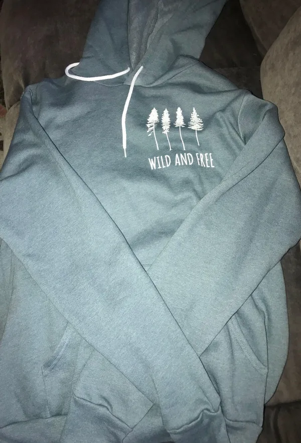 Bella Canvas Blue Wild & Free Hoodie - Image 3