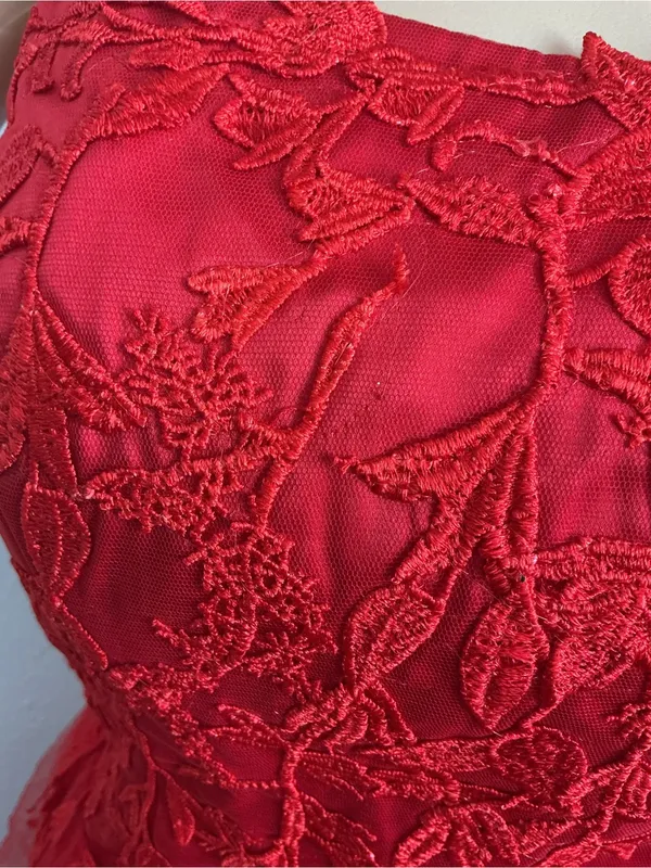 Wedding Dress VNAIX Red Lace Embroidered Tulle Ball Gown Size 6 - Image 14