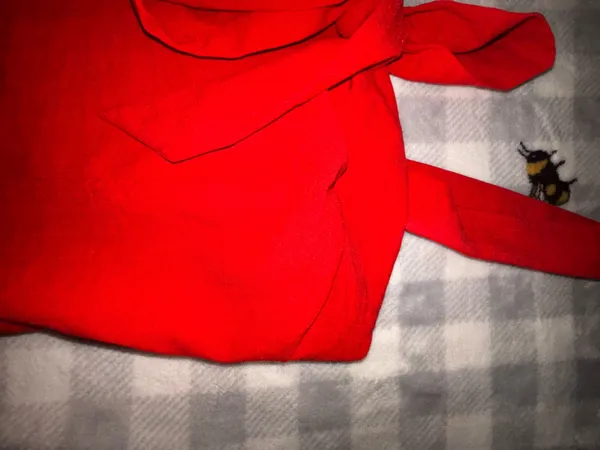 Sienna Sky. New with Tags Red and white plaid crop top. - Image 3