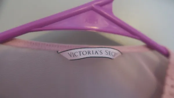 Victoria's Secret lacey illusion top mesh sexy lingerie bodysuit in pink. - Image 6