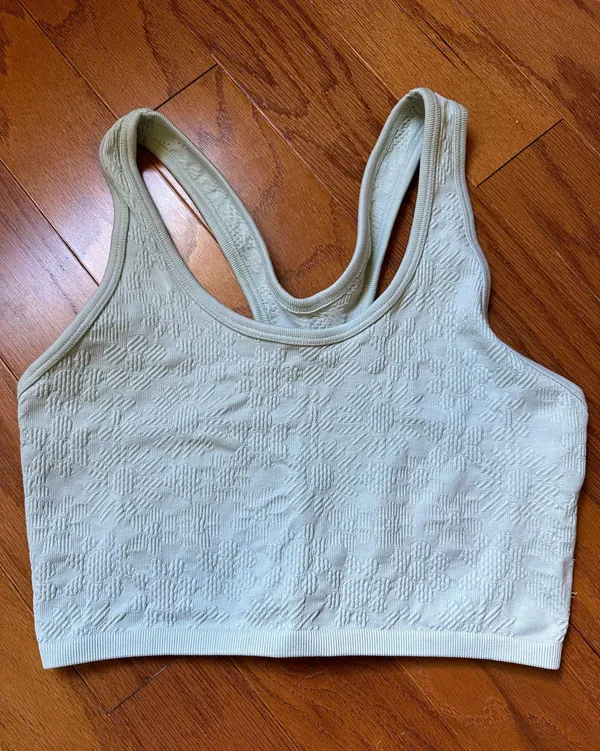 Aerie Sports Bra - Image 4