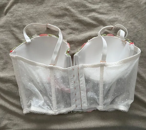 Victoria's Secret Dream Angels Strawberry Embroidery Corset Top - Image 2