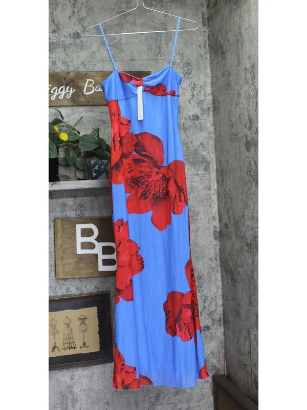 NWT Aqua Womens Floral Mesh Maxi Dress DI11619BL Blue / Red XS - Image 2