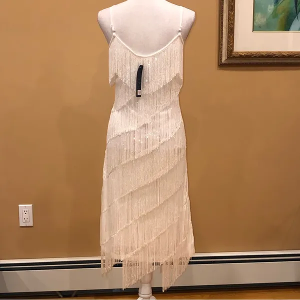🆕 1920s Sequin and Fringe Flapper Party Mini Dress - Image 4