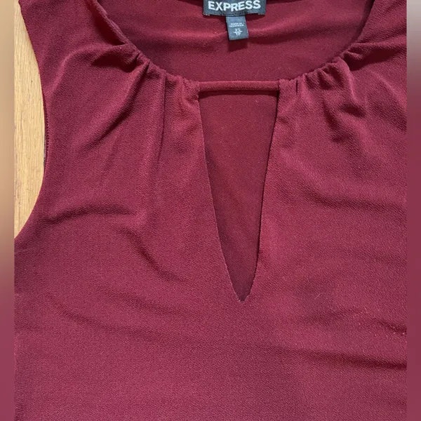 Express halter style fitted top. Burgundy in color. - Image 3