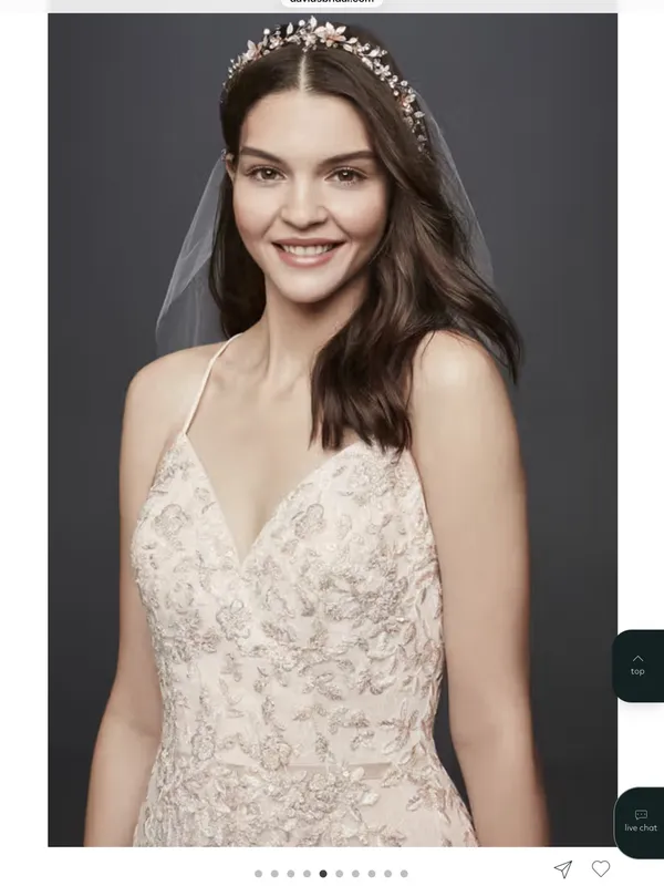 Stunning Melissa Sweet Petal Cashmere Embroidered Wedding Gown - Image 4