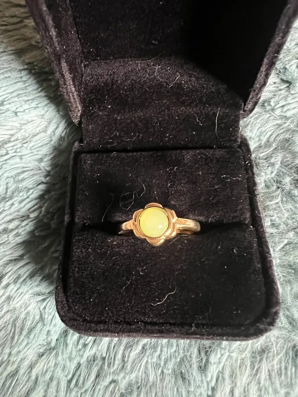 Gorgeous Golden Band with Gemstone Embellished Band Size 7 - Image 2
