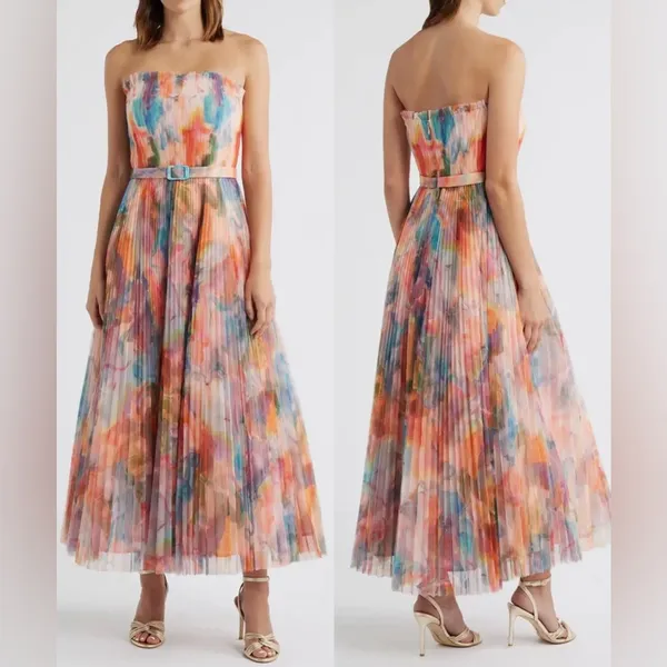 NWOT Hutch Strapless pleated Belted Chiffon Floral Maxi Dress sz 4 - Image 2