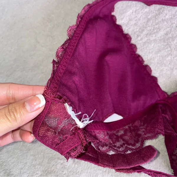 Gilly hicks hollister Lace Halter Bralette in Berry - Women Intimates - Image 5
