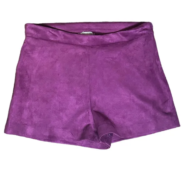 NWT Zara Velvet High-Waisted Purple Shorts Sz M‎ - Image 2