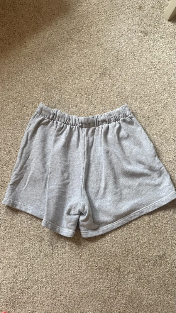 Aerie Grey Shorts - Image 3