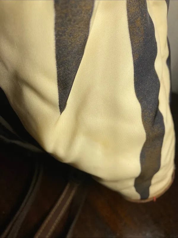 Dooney & Bourke Stripe Print Tote with Brown Trim - Image 12