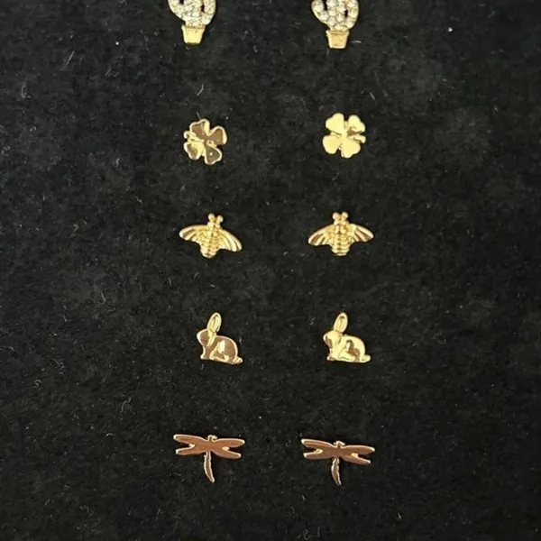 Free People Brooch and Stud Earring Set NWT - Image 2