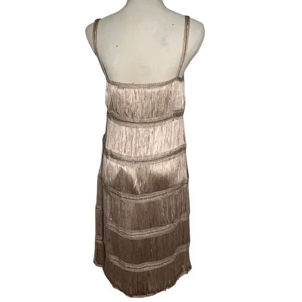 Zara Fringe Mini Dress Women Small Champagne Gold Flapper Chain Detail NWT - Image 4