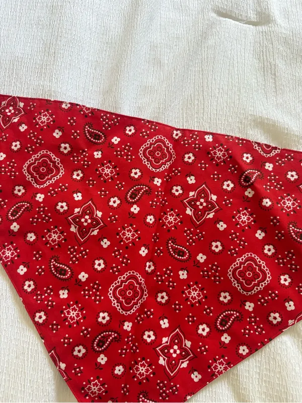 Reversible Bandana Triangle Scarf Accessories Tie Scarf Country Festival Western - Image 5
