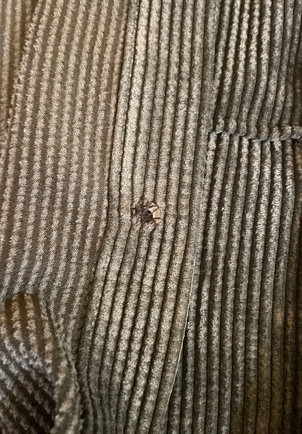 Wild Fable Corduroy Jacket - Image 4