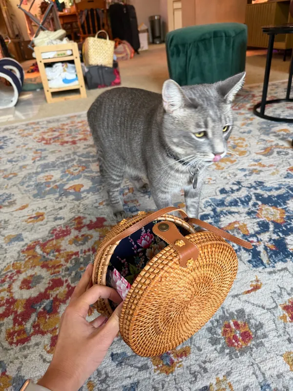 Wicker purse Brown - Image 4