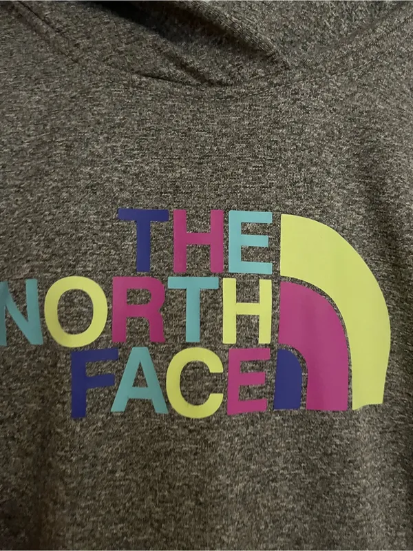 The North Face Gray Hoodie with Multicolor Logo - Image 3