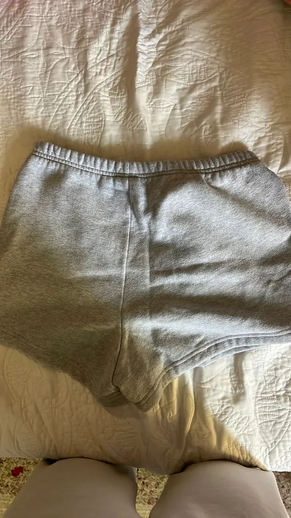 Aritzia Sweatshorts - Image 4