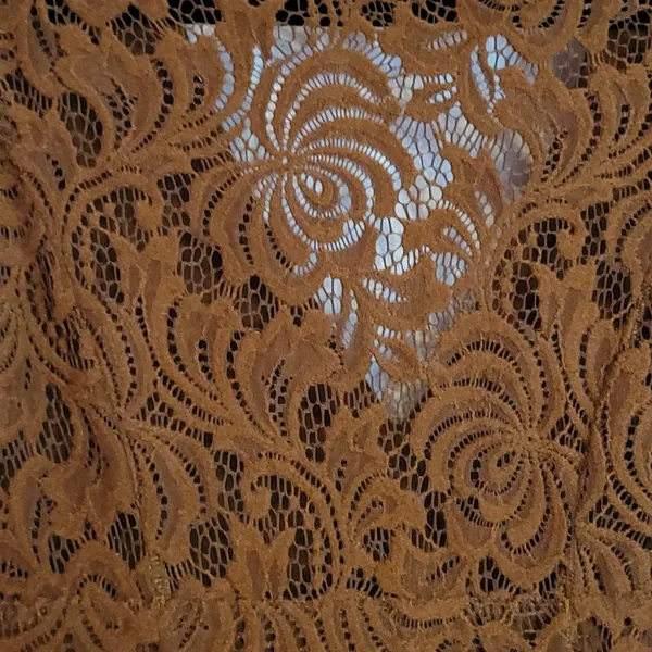 FREE PEOPLE Dana’s Bodycon Textured Lace Dress in Rust Brown Size XS - Image 6