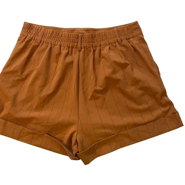 Danielle Bernstein Rust Brown Pinstripe‎ Pleated High Waist Cuffed Shorts 18W - Image 3