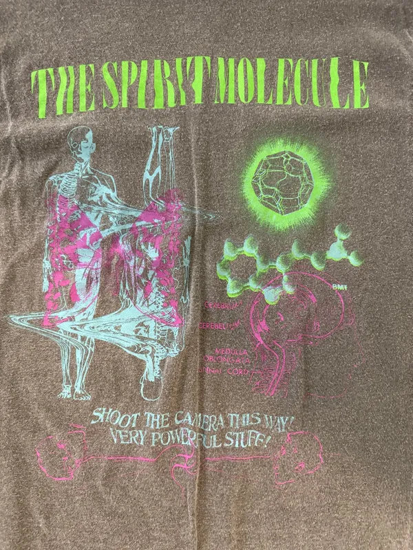 PacSun Tee Graphic - Image 2