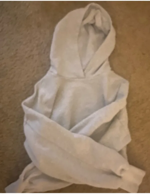 Aerie OFFLINE by Cropped Hoodie - Image 2