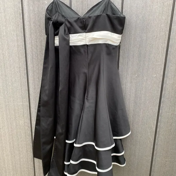 Vintage‎ Cinderella Divine Dress - Image 5