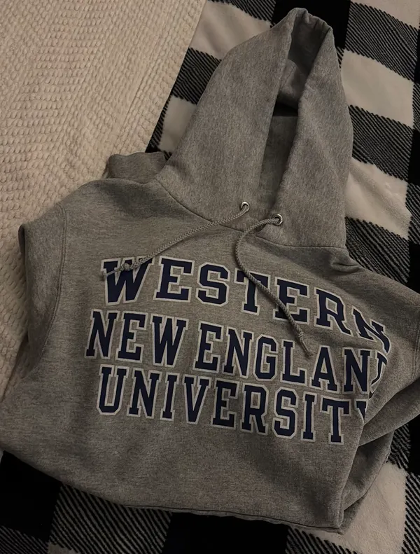 Champion Hoodie - Image 3