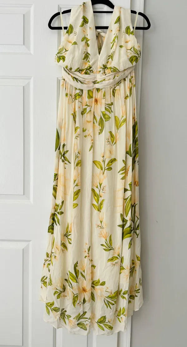 Farm Rio V-Neck Floral Chiffon Maxi Dress, Size S - Image 6