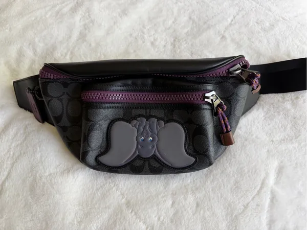 Coach x Disney Dumbo Terrain Belt Bag - Image 10