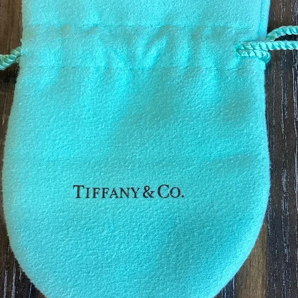 Tiffany & Co. Turquoise Jewelry Pouch - Image 5