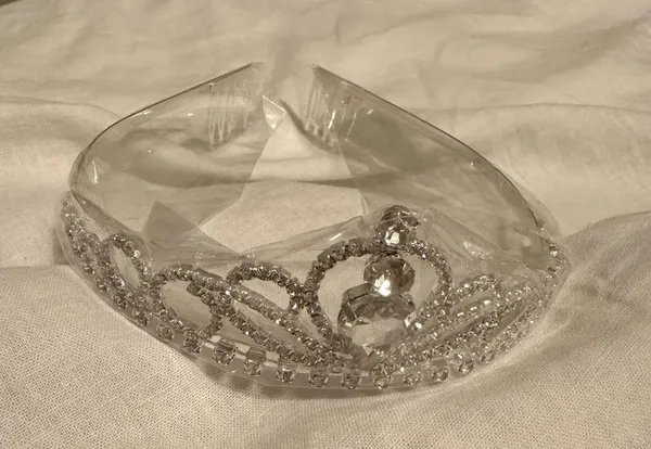 Halloween Princess Costume Accessories - Image 4