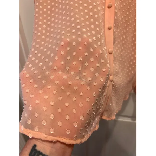 Ann Taylor Womens Large Pink Swiss Dot Sheer Long Sleeve Button Front Blouse - Image 3