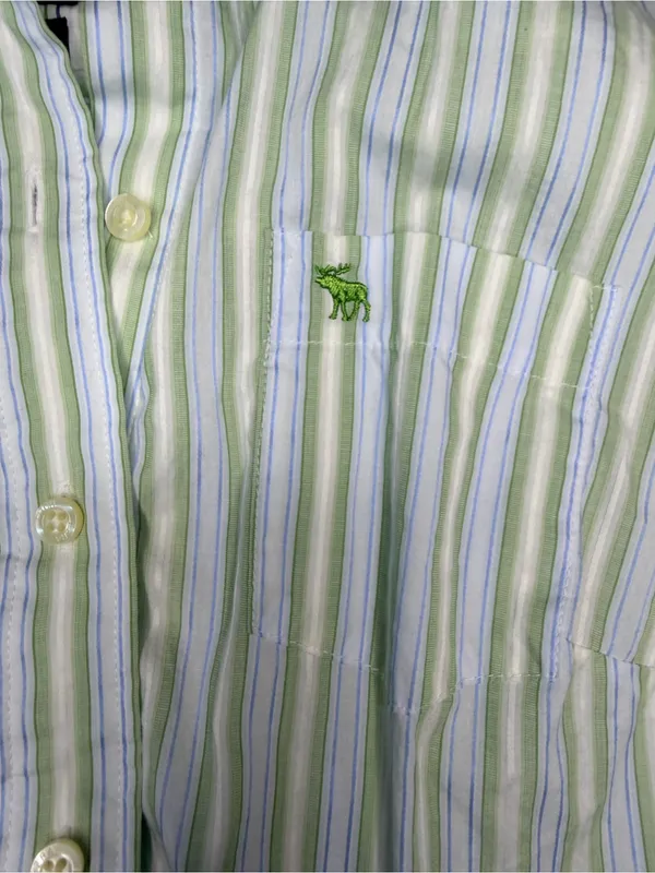 Vintage Ezra Fitch by Abercrombie & Fitch Y2K Button-Up 💚🩵 - Image 10