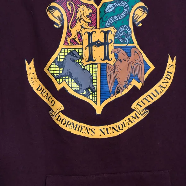 Harry‎ potter hooded sweatshirt women’s size medium. Hogwarts on back graphic - Image 2